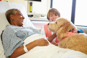 Elder Care Memorial TX: FAQs About Seniors Adopting a Dog or Cat